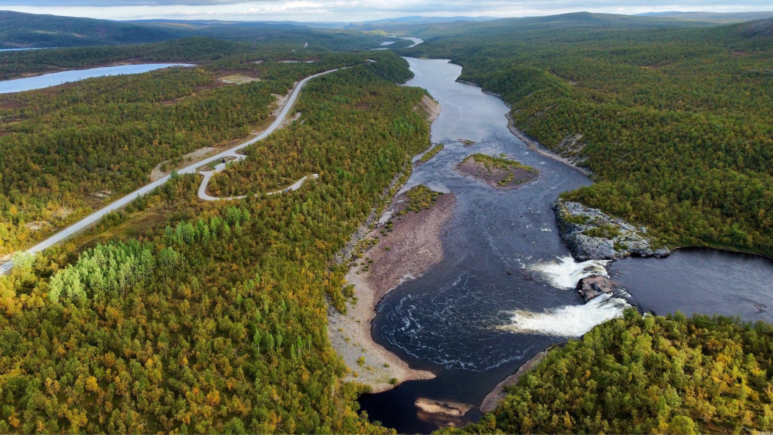 Grün, Grün, Grün sind Lapplands Farben